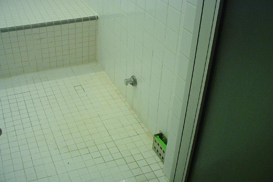 Aroma Oil Introduced Into Steam Room with a Sponge