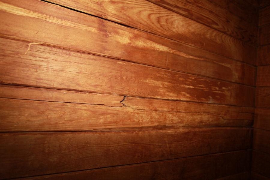 Cracked and Rotting Wood