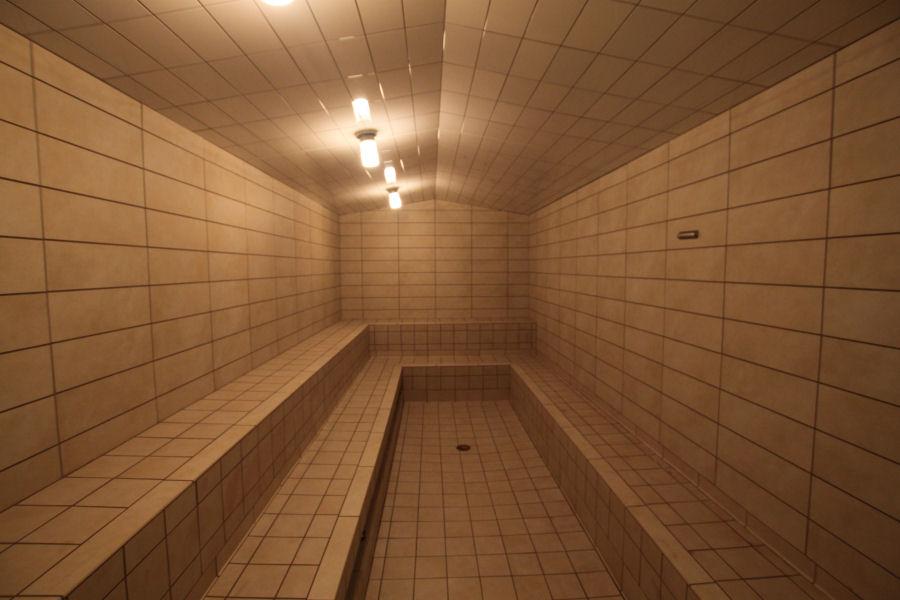 Mr Steam Pitched Ceiling CU2000