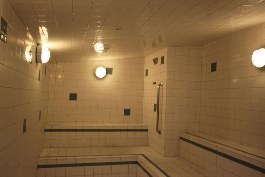 Mr Steam Steam Room Safety and Design CU1000