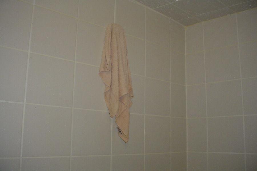 Steamist Room Temperature Sensor Tampering