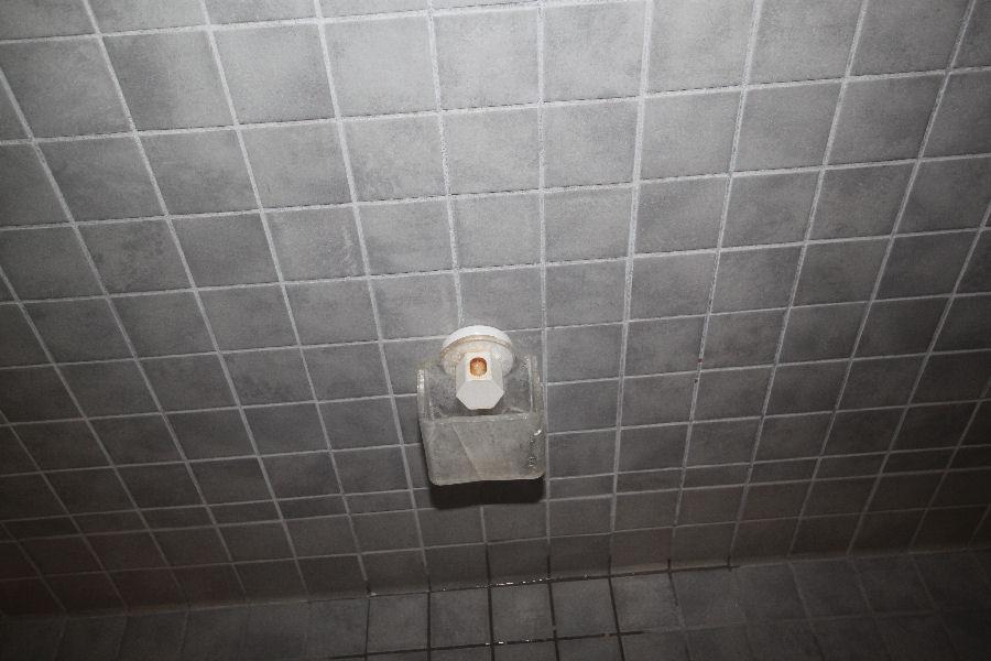 Steamist Steam Head Steam Diffuser